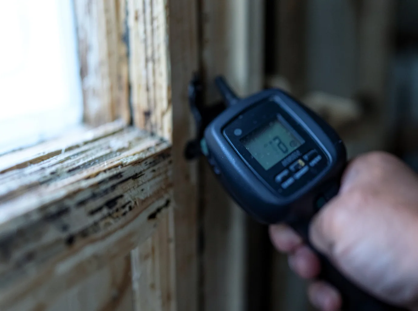 Moisture Inspection And Documentation in Ridley Park, PA